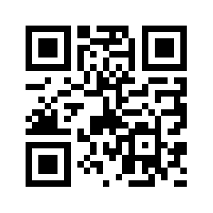 Newbgm.net QR code