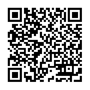 Newconstructioncondossouthflorida.com QR code