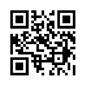 Newdns.biz QR code