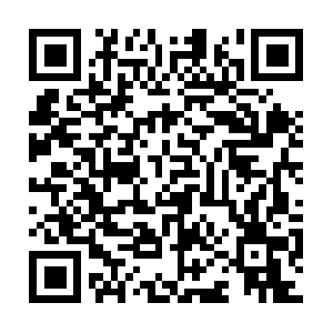 News-fresherslive-com.cdn.ampproject.org QR code