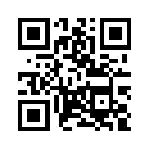 Newsbug.info QR code