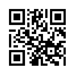 Newseagle.us QR code