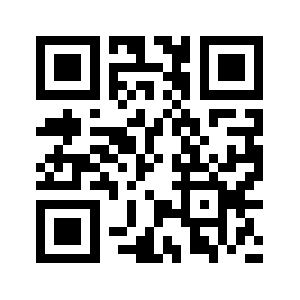 Newsin.ro QR code