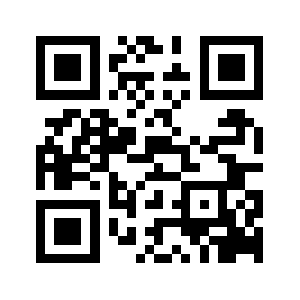 Newtiffin.net QR code