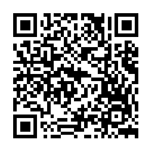 Newwirelesscreditcardprocessing.info QR code