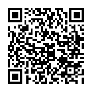 Newzealandimmigrationfromsouthafrica.com QR code