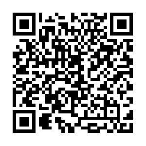 Nexus-live-v6.minimilitia.miniclippt.com QR code