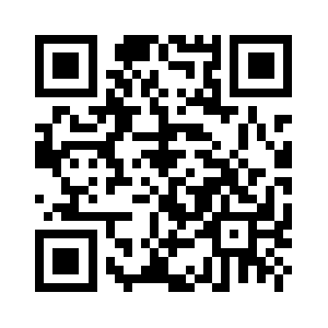 Niagarasystems.net QR code