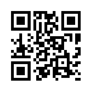 Niangchi.biz QR code