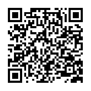 Niftytheme-vrocket-nexus.netlify.app QR code