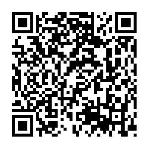 Niganigashiiniganigashiiniganigashiiniganigashii.mobi QR code