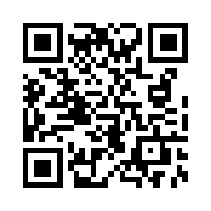 Nikkitheorem.com QR code