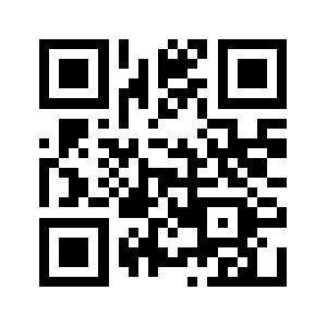 Nini20.com QR code