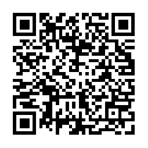 Ninjablenderprofessionalcomplaints.com QR code