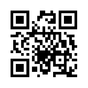 Nmz30.biz QR code