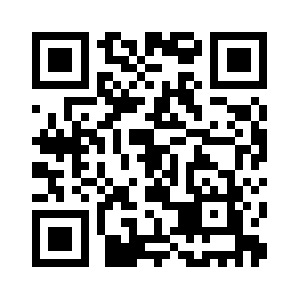 Noenemyrecords.com QR code