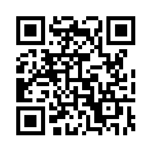 Nokta-advies.com QR code