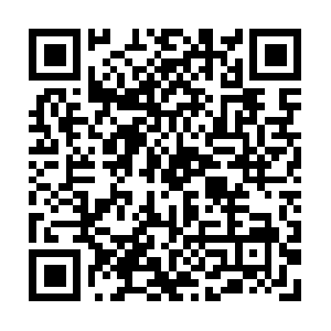 Northamericanworkingdogregistry.com QR code