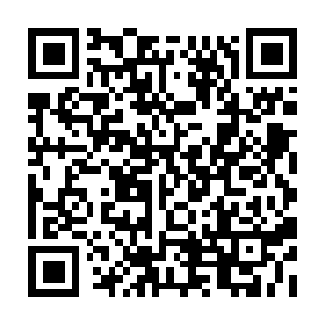 Notificationsecurityemail-community.info QR code