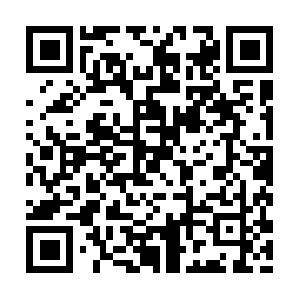 Novoastreeserviceandlandscaping.net QR code