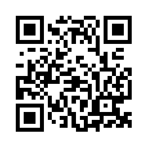 Novolyuksstroy.com QR code