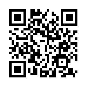 Now2017-auction.com QR code