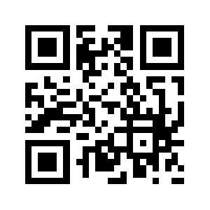 Np538.com QR code