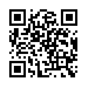 Ns-b3.tenten.vn QR code