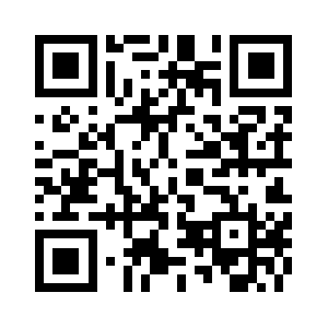 Ns1.p256.dynect.net QR code