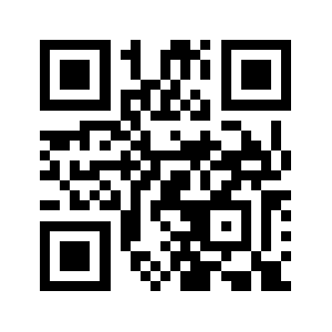 Ns2.idc1.cn QR code