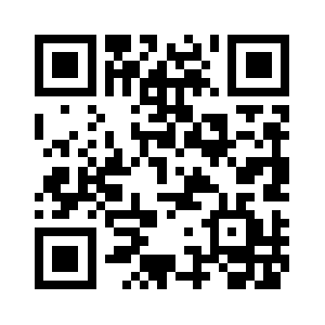 Ns2.idnscan.net QR code