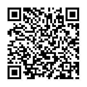 Nuvistainstituteforhealthyliving.info QR code