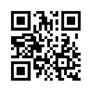 Nyseer.com QR code