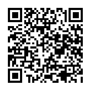 Oasorhanautomotivekontrolsistemleri.com QR code