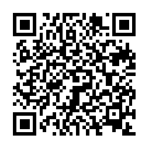 Obattradisionaljellygamattricajus.com QR code