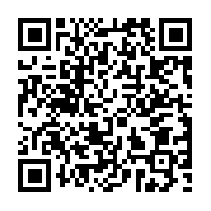 Occupationahealthandwellbeingservices.com QR code