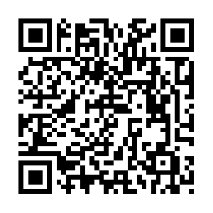 Officialserviceanimalregistration.org QR code