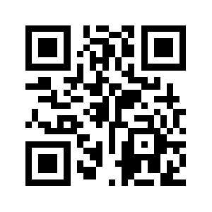 Oins.net QR code