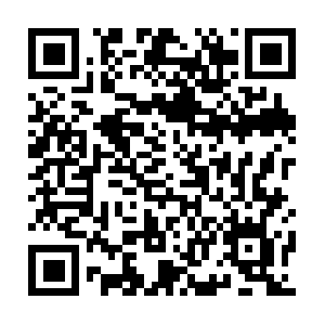 Olymipcpaddleboardmanufacturing.info QR code