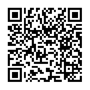 Onehippiesattemptatsavingmotherearth.com QR code