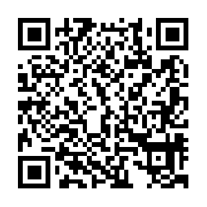 Onelink.to.dob.sibl.support-intelligence.net QR code