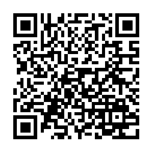 Onepercentrealtyinportcoquitlam.com QR code