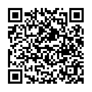 Online.getcacheddhcpresultsforcurrentconfig QR code