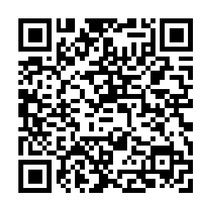 Onpay.my.dob.sibl.support-intelligence.net QR code