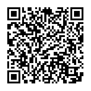 Opendata-1583315973.us-east-1.elb.amazonaws.com QR code