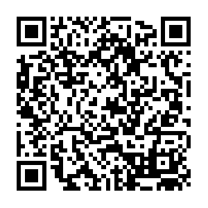Opendns.com.getcacheddhcpresultsforcurrentconfig QR code