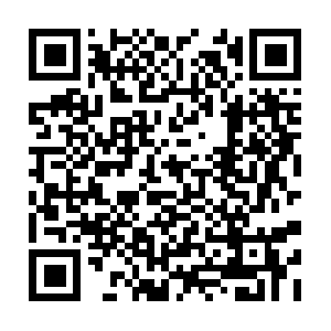 Organizaciondiplomaticainternacional.org QR code