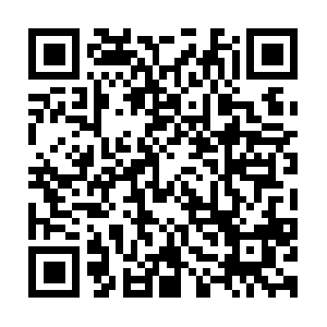 Organizationaldevelopmentcareercenter.com QR code