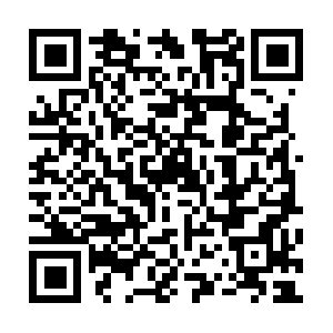 Ox-delivery-prod-1-asia-southeast1.openx.net QR code