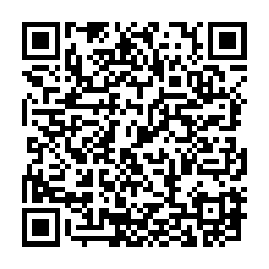 P-csite-elb-1810922812.ap-northeast-1.elb.amazonaws.com QR code